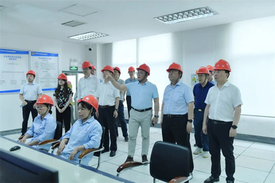 最高法咨詢委員會(huì)副主任兼秘書長杜萬華一行蒞臨澄星股份考察指導(dǎo)